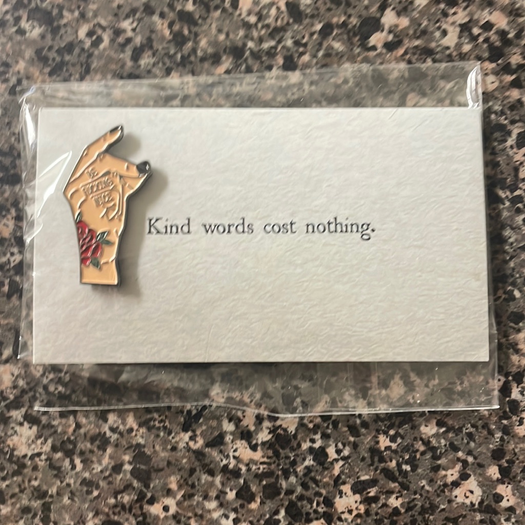 Be Fucking Nice Pin